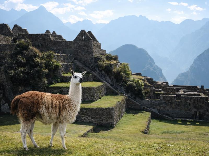 Machu Picchu Circuit 2 Guided Tour with Entrance Ticket Included
